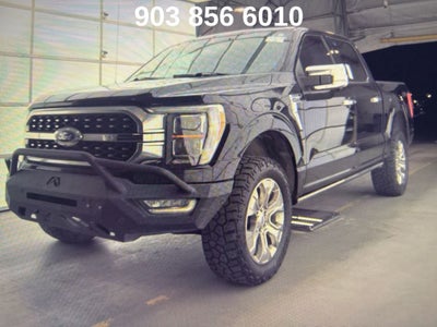 2021 Ford F-150 Platinum